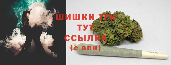 дмт Богородицк