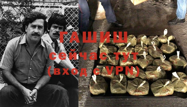 дмт Богородицк