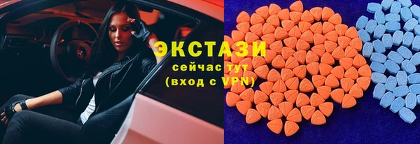 дмт Богородицк