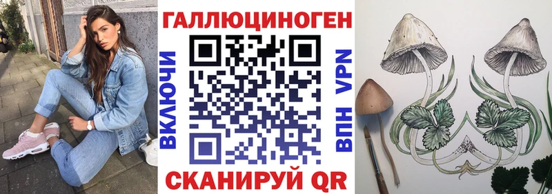 Галлюциногенные грибы GOLDEN TEACHER  купить наркоту  Армавир 